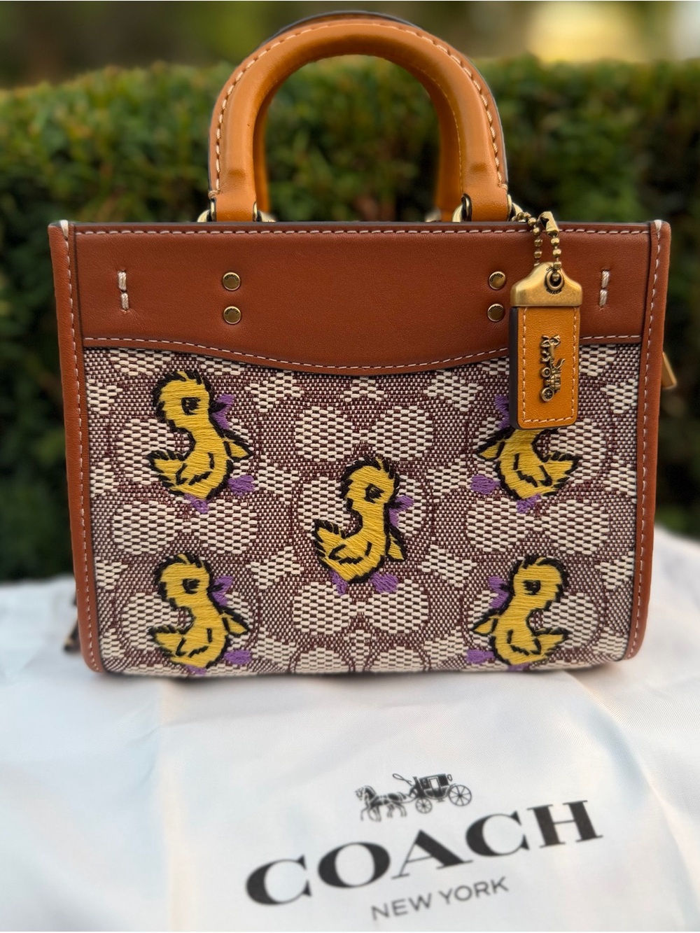 Coach Rogue 17 In Signature Textile Jacquard With Duck Motif C6164 Crossbody Bag